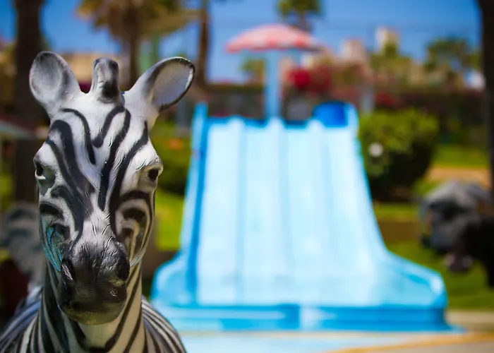 Resort Royal Solaris Cabos